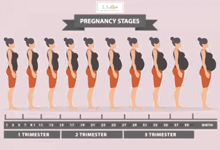 First Trimester (Weeks 1–12): Early Changes You Might Not Notice West Norwood